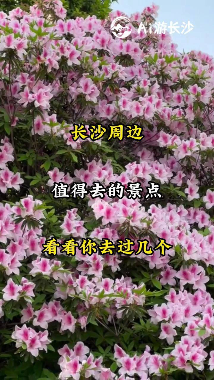 LɳLɳ߅ֵȥľc(din)ȥ^ׂZލuɽ¹ɣӰɽˮrٲ@ɽ?jng)_ɭֹ@Lɳ߅ξc(din)Lɳ
